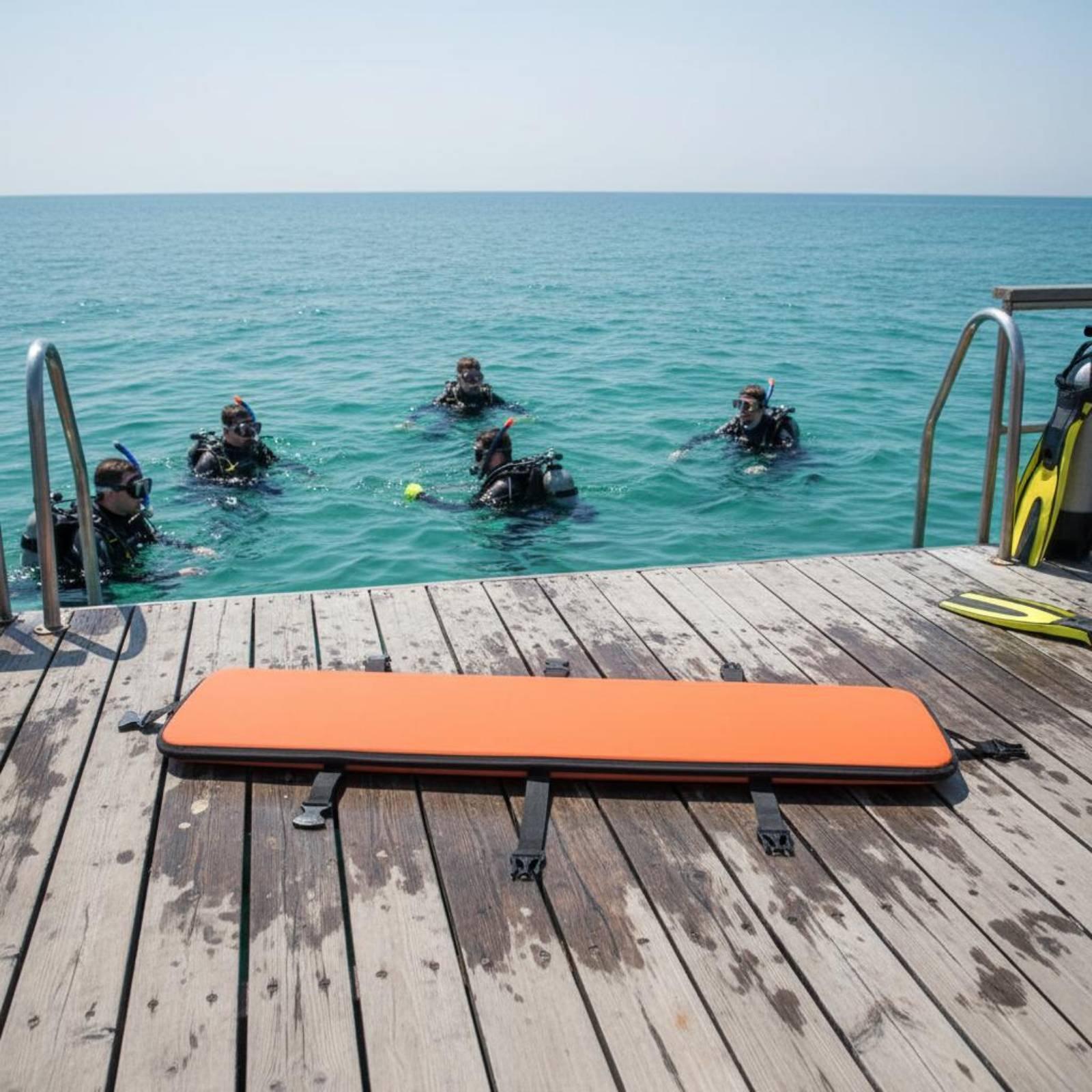 Diving Fins Carrier Long Blade - Fin Diving Blade ulasan dan harga